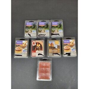 Better Homes & Gardens Wax Melts Evergreen Fireside White Tea 2.5 OZ Lot Of 8
